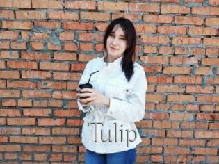 Tulip