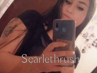 Scarlethrush