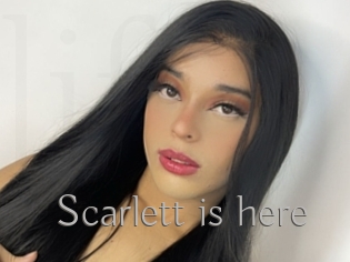 Scarlett_is_here