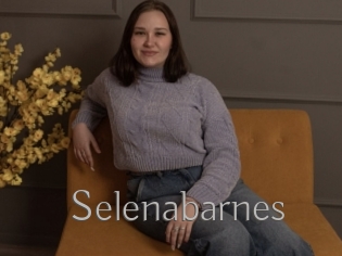 Selenabarnes