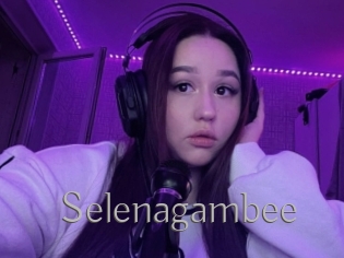 Selenagambee