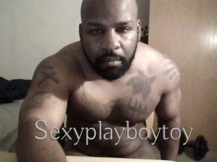 Sexyplayboytoy