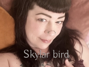 Skylar_bird