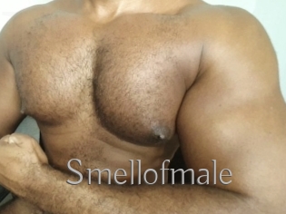 Smellofmale