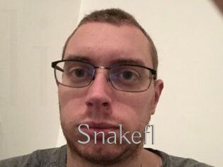 Snakefl