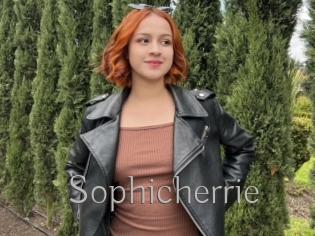 Sophicherrie