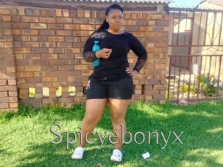 Spicyebonyx