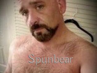 Spunbear