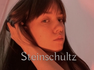 Steinschultz