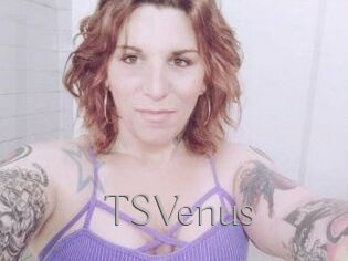 TS_Venus