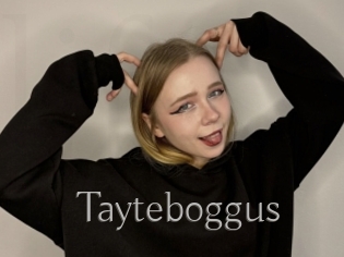 Tayteboggus