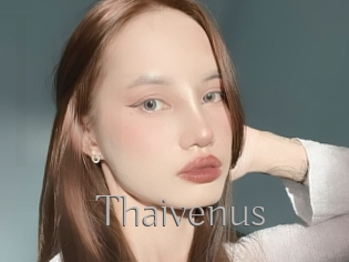 Thaivenus