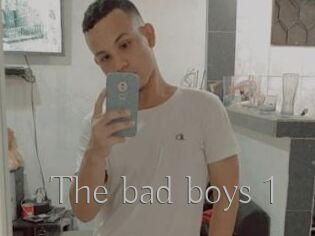 The_bad_boys_1
