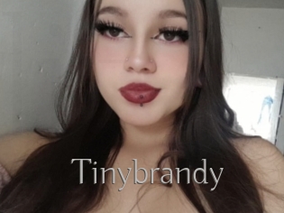 Tinybrandy