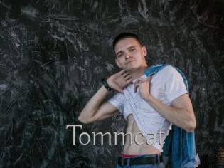 Tommcat