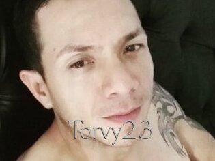 Torvy23