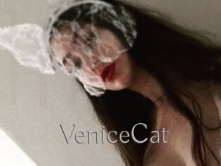 VeniceCat