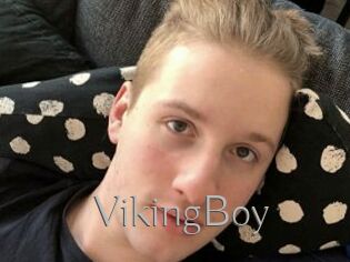 VikingBoy