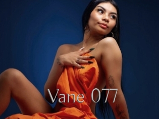 Vane_077