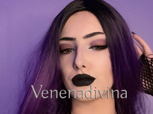 Venenadivina