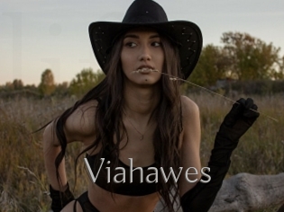 Viahawes