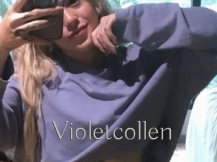 Violetcollen