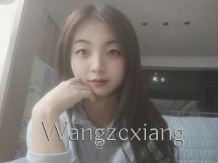 Wangzcxiang