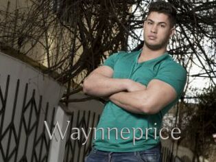 Waynneprice