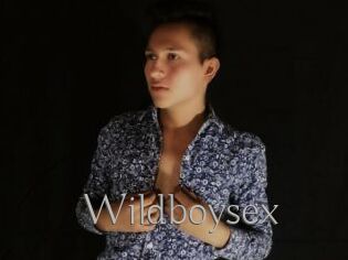 Wildboysex