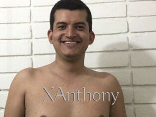 XAnthony