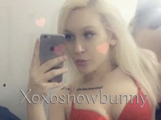 Xoxosnowbunny