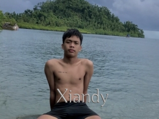 Xiandy