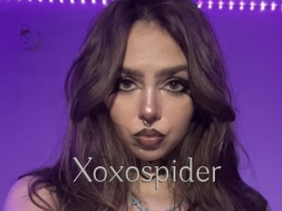 Xoxospider