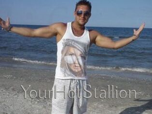 YourHotStallion